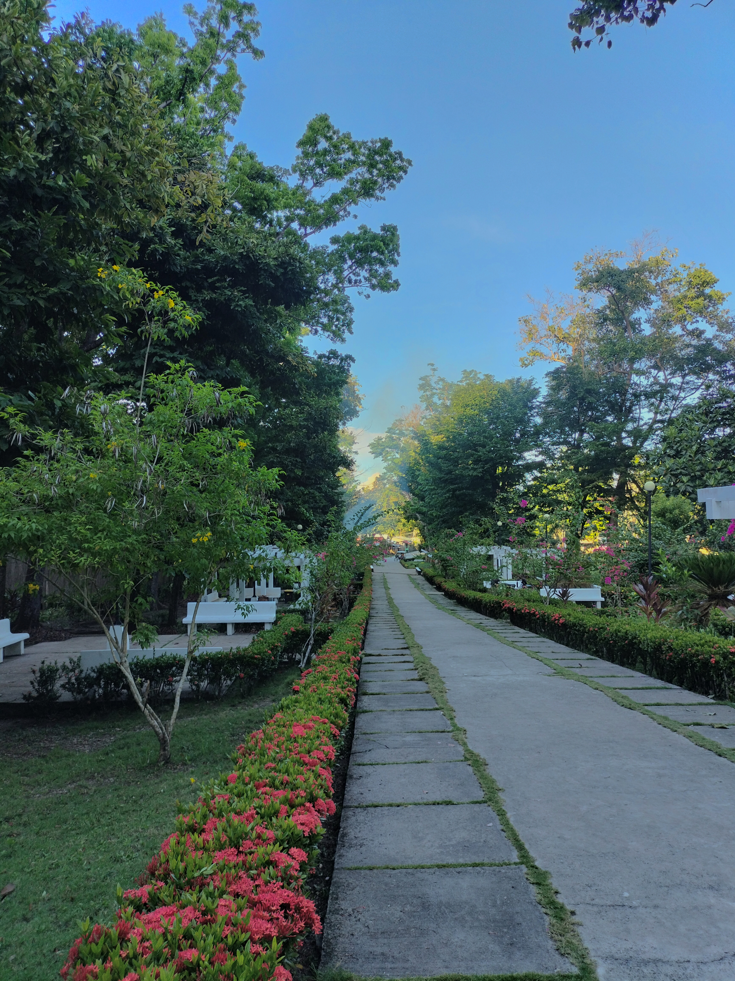 View of National Shrine
